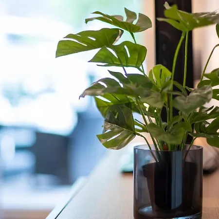 Appartement Modern And In *