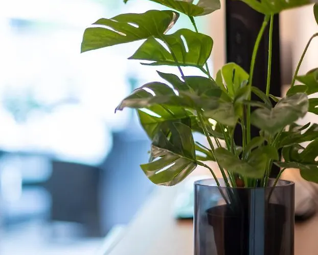 Apartament Modern And In *